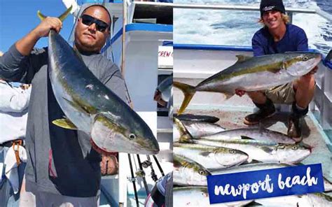 Newport Landing Sportfishing .